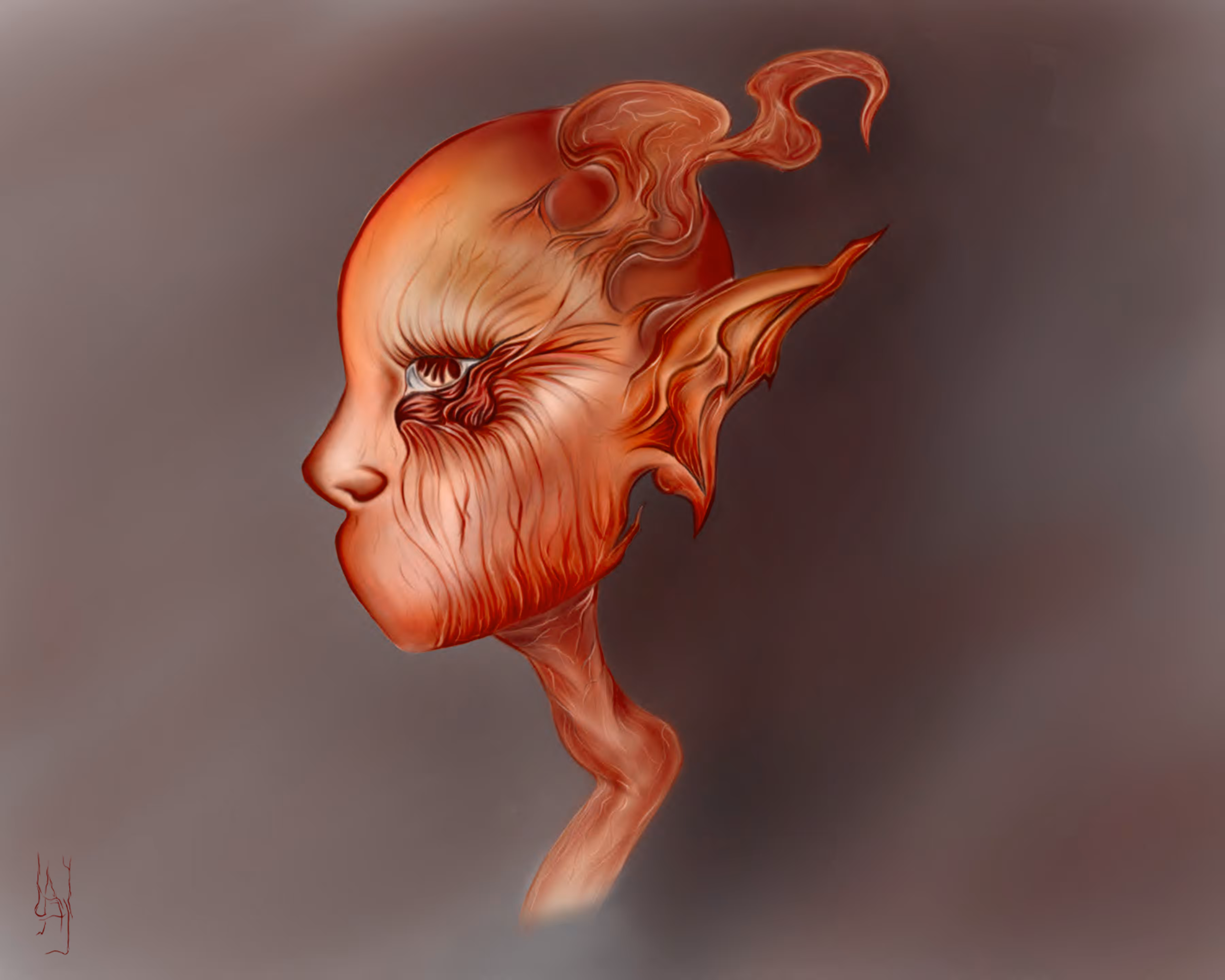 face of the moon