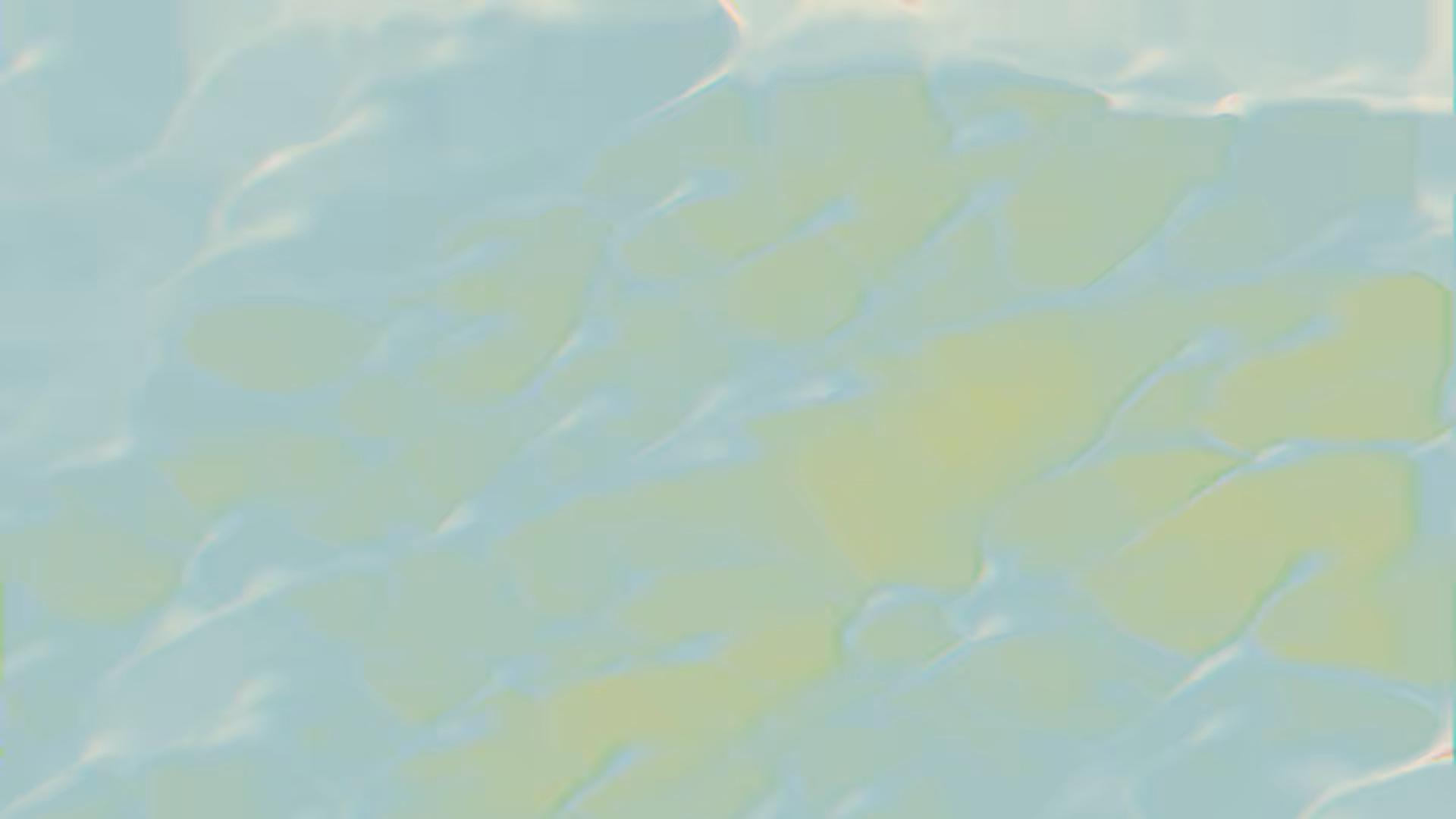 COLOR FLOWS #7