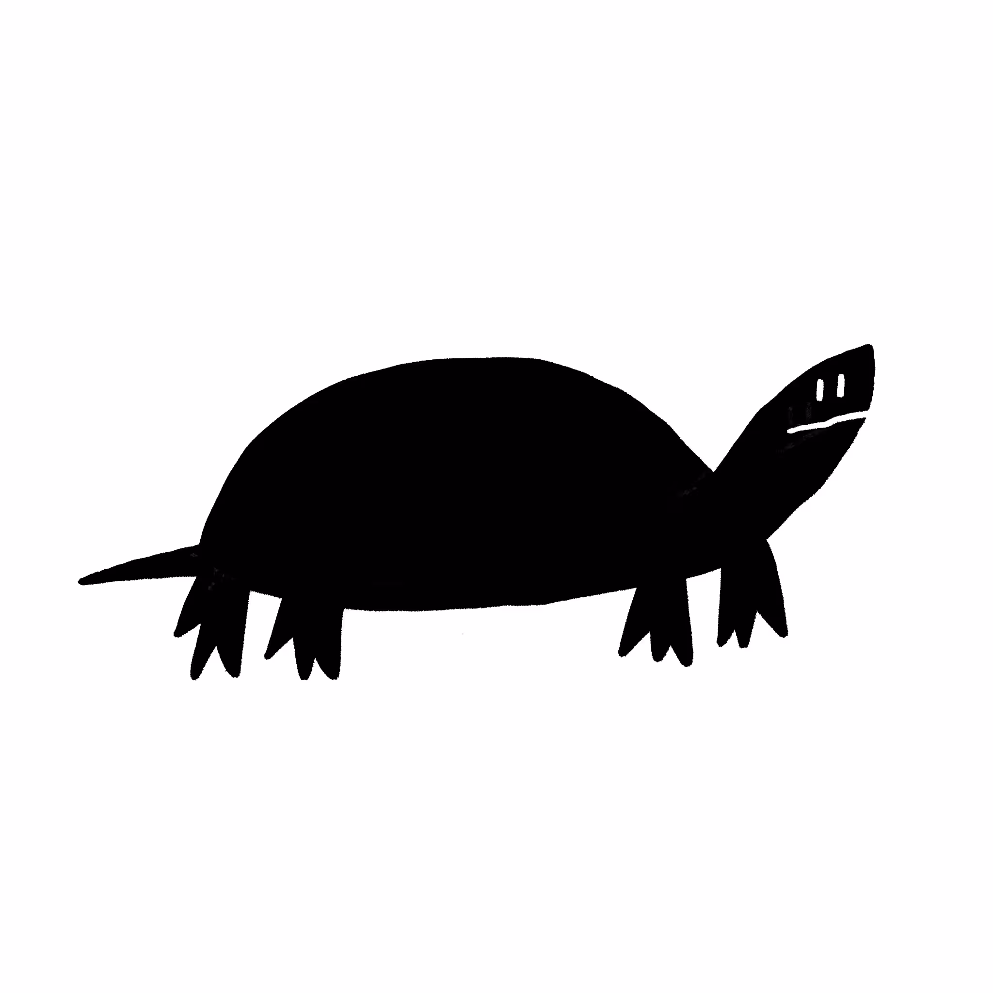 Terrapin
