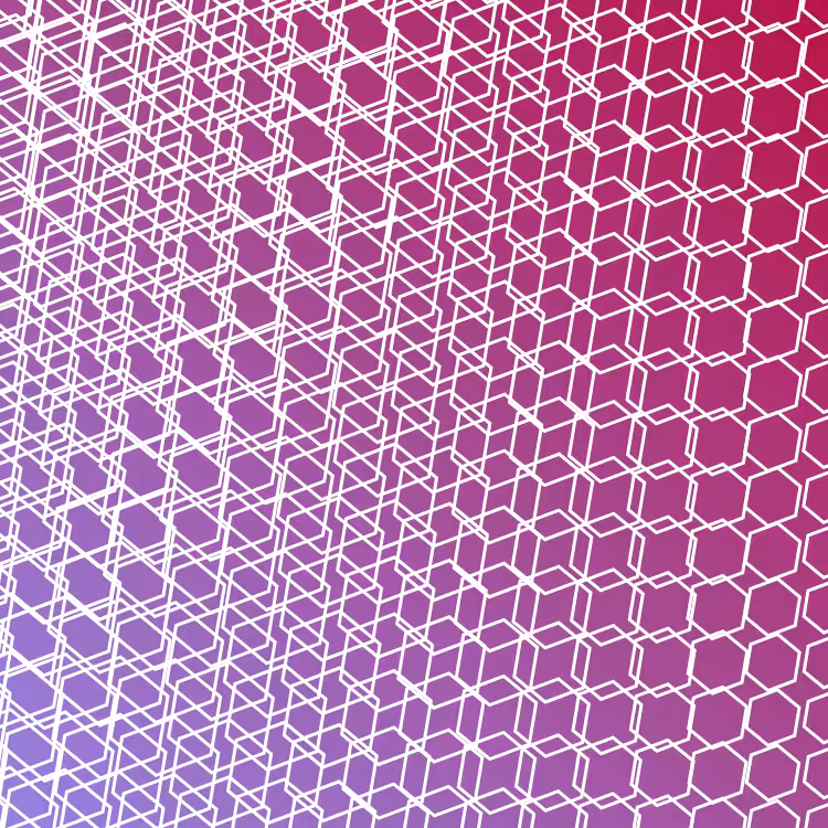 bilinearInterpolationTwist #28