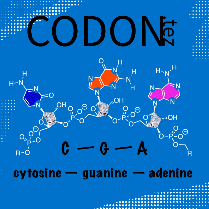 Codon Minter #22