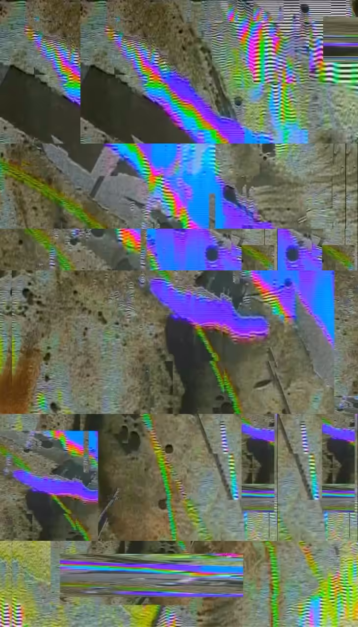 Rodeo posts: ƒﾚux⊕r