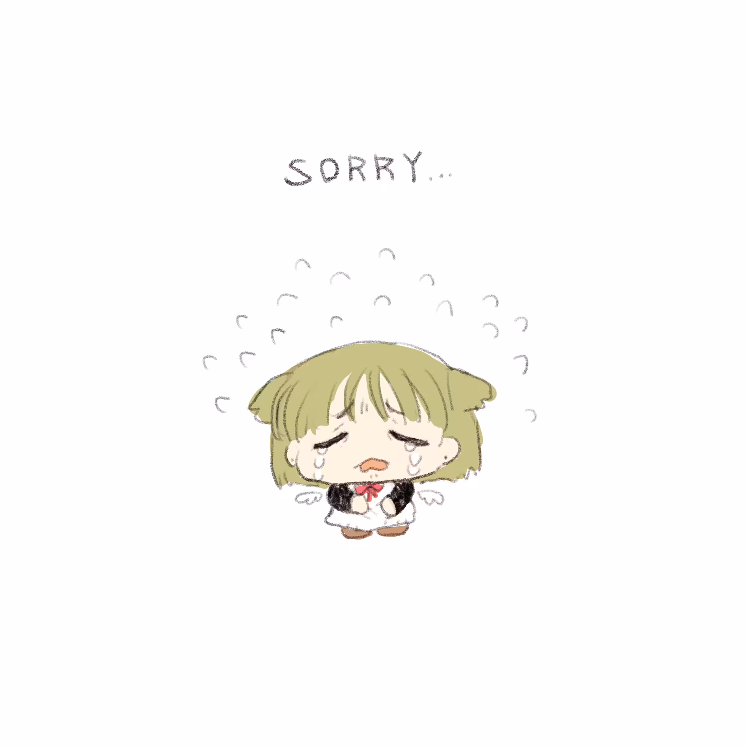Sorry gifts