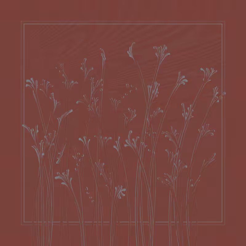 string_pllu #16