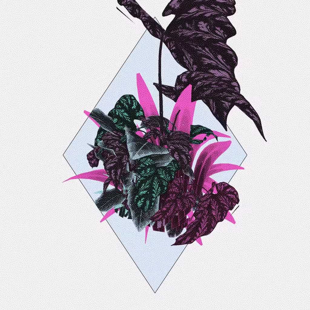 Botany #88