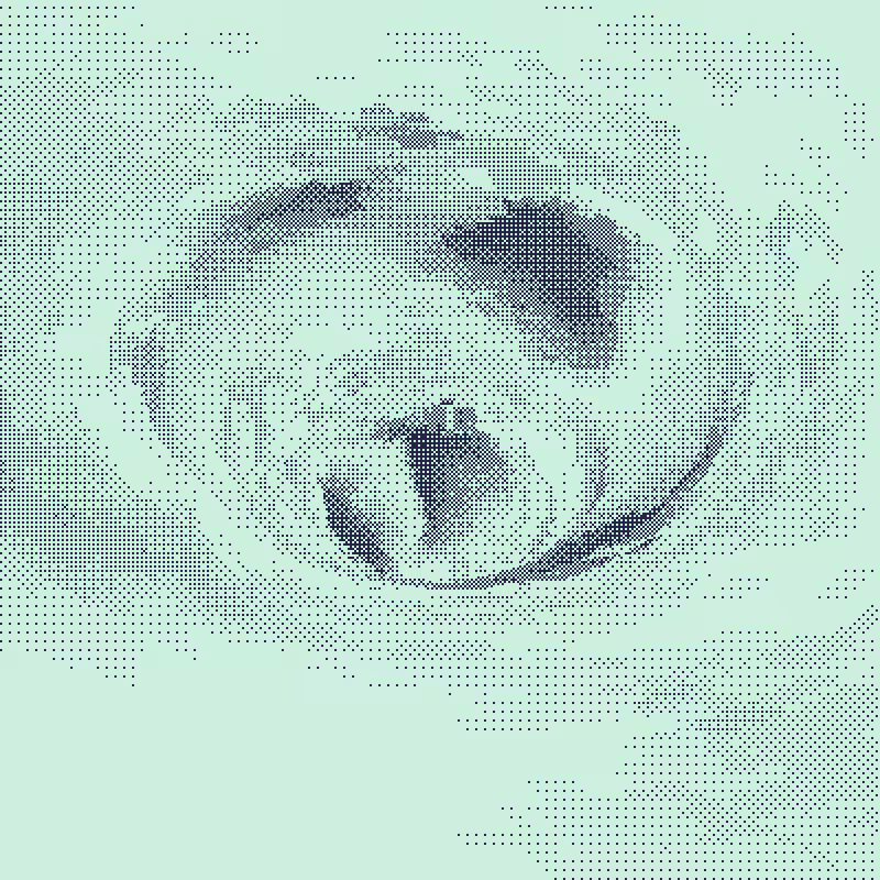 Down the Drain #144