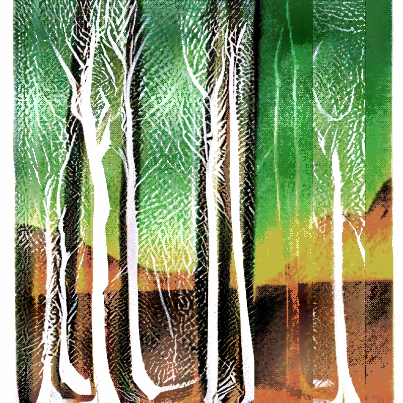 The Hum of Cyber Forest #185
