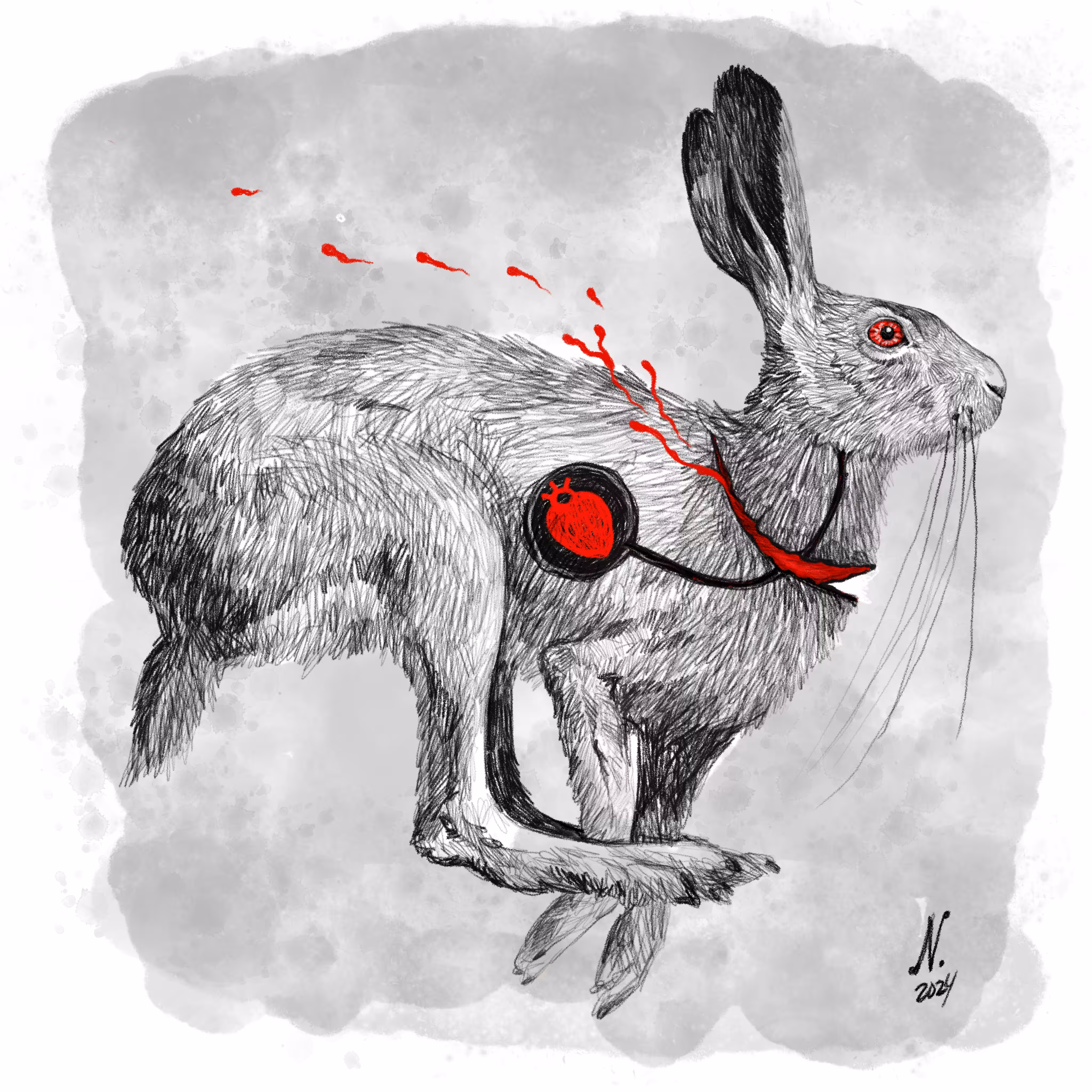Run hare run