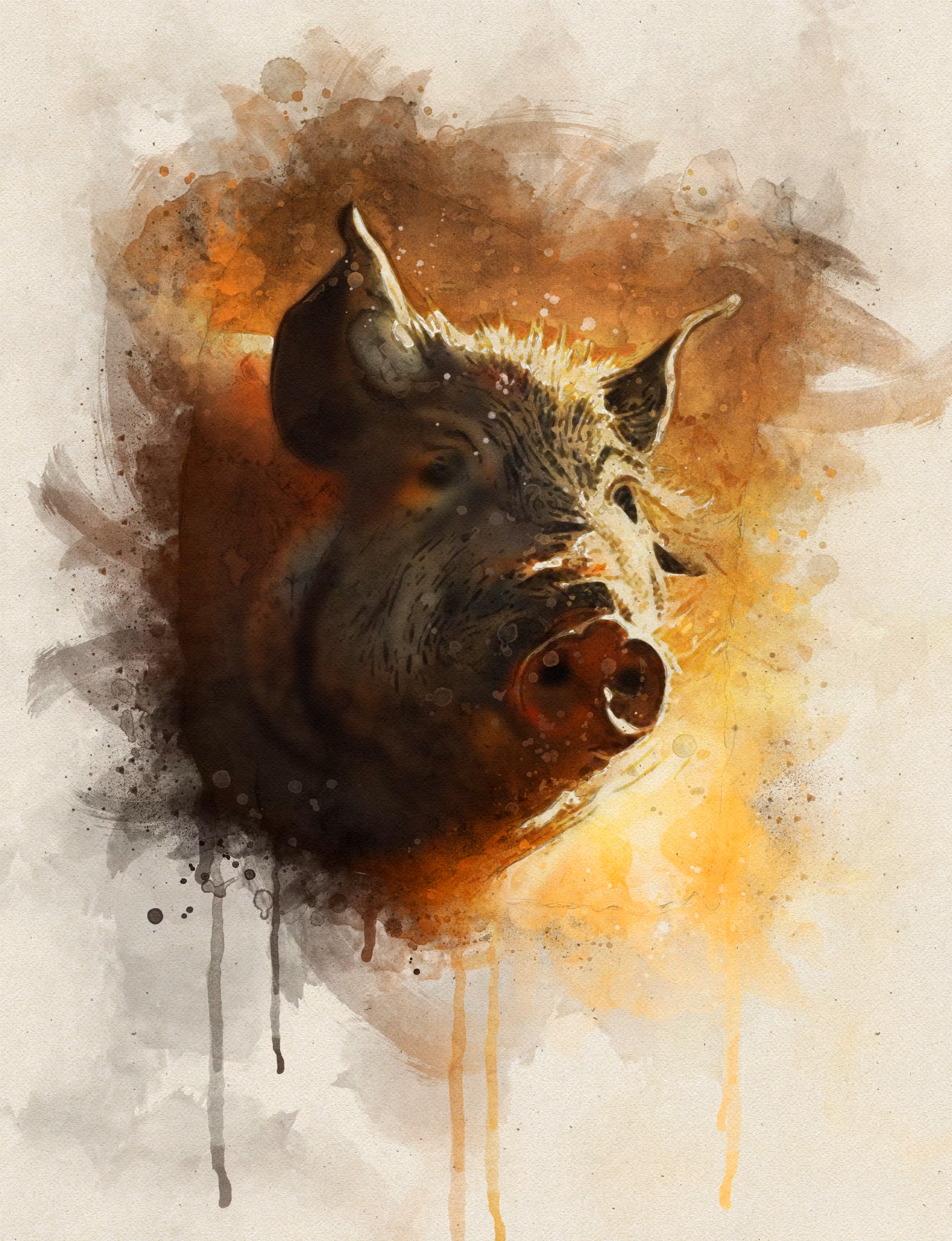 Pig