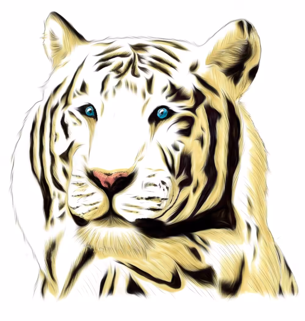 White tiger