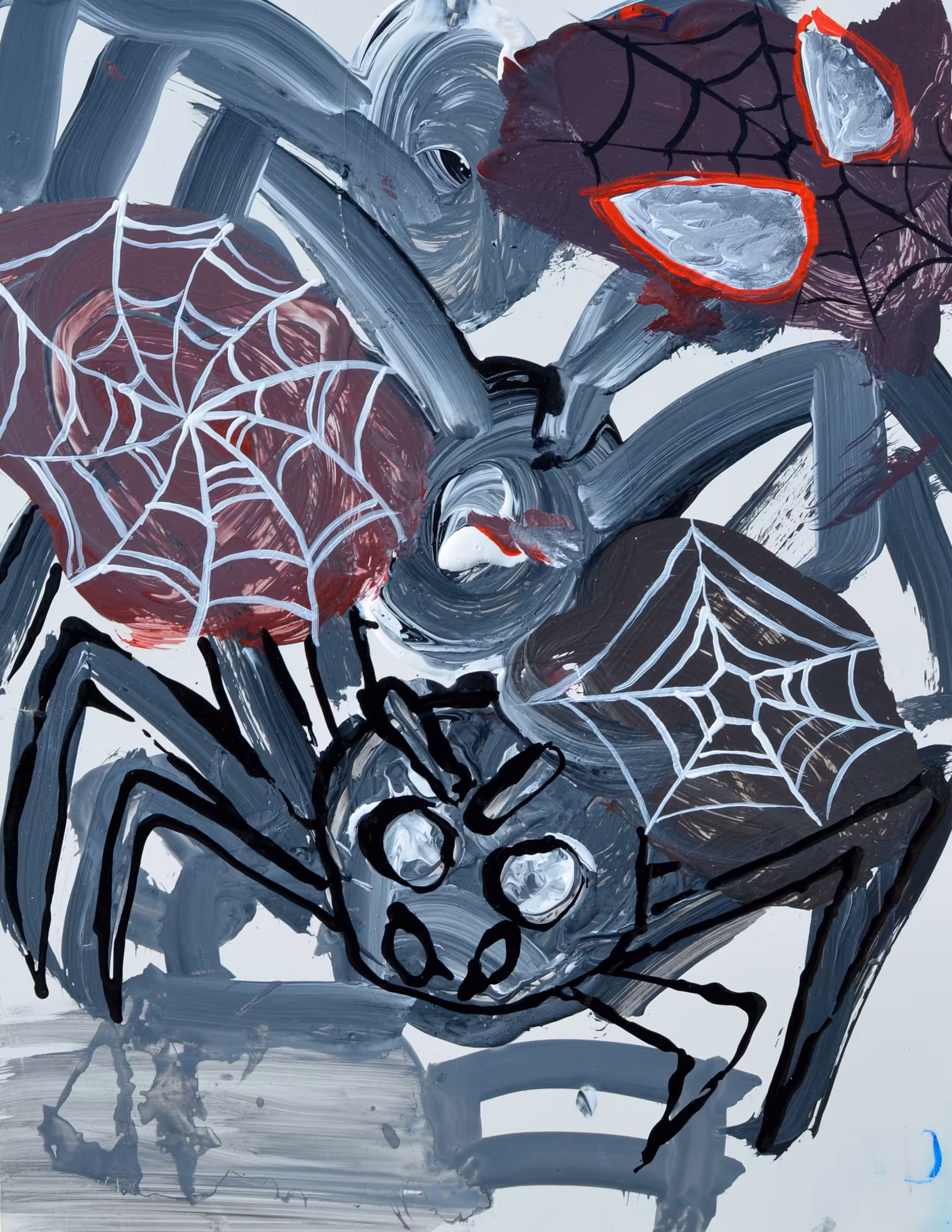 Spiders