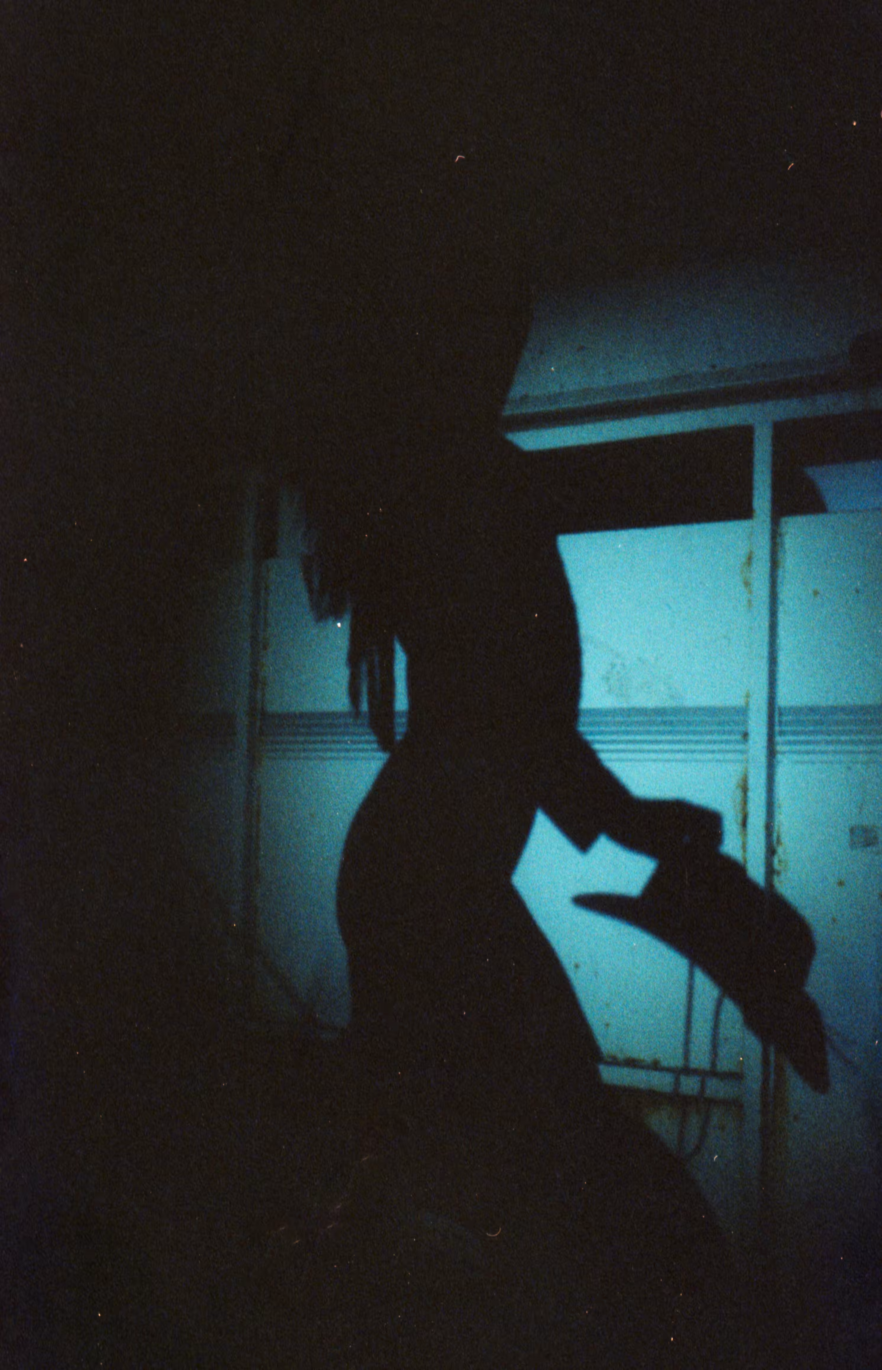 "CoWGiRL SiLHoueTTe.."