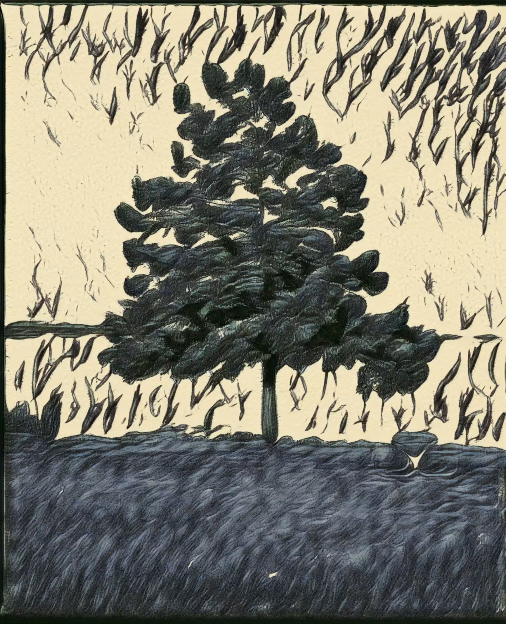 TREE AT NIGHT
