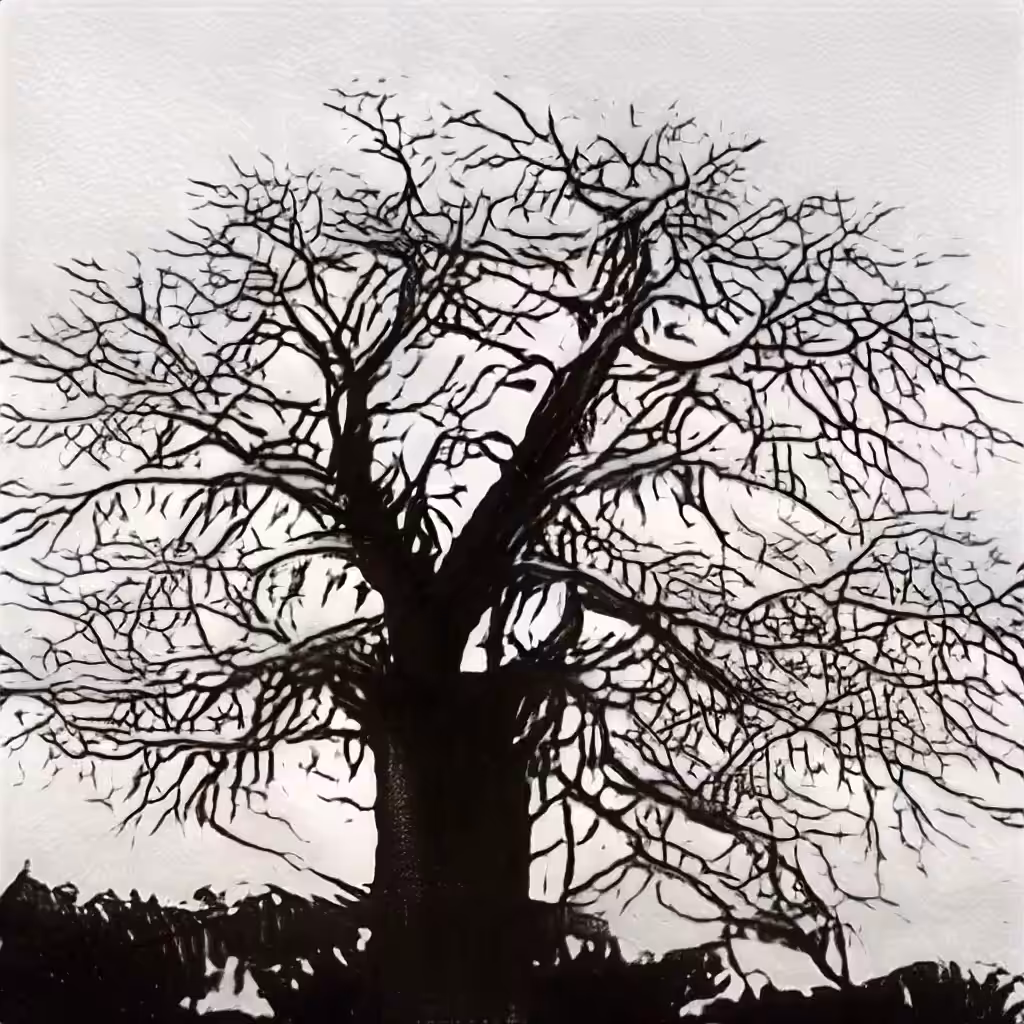 Nolikorb II