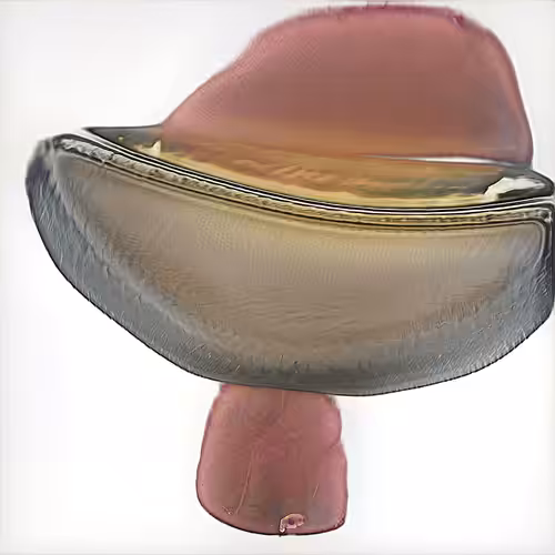 Fountain 0000374