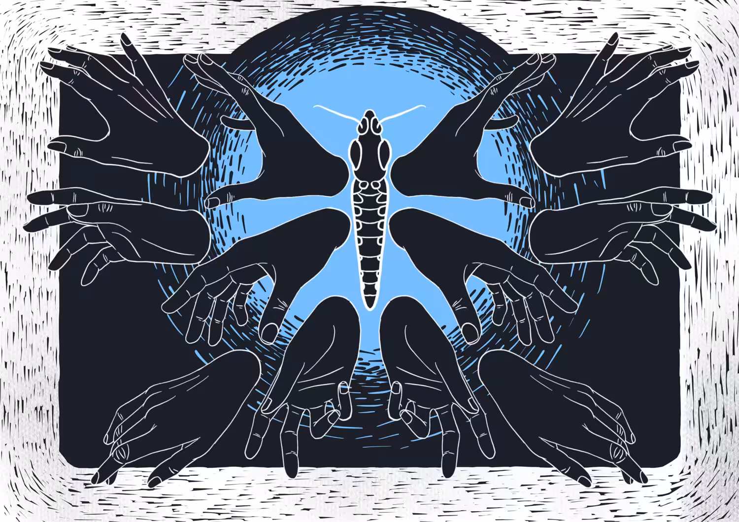 The Moth