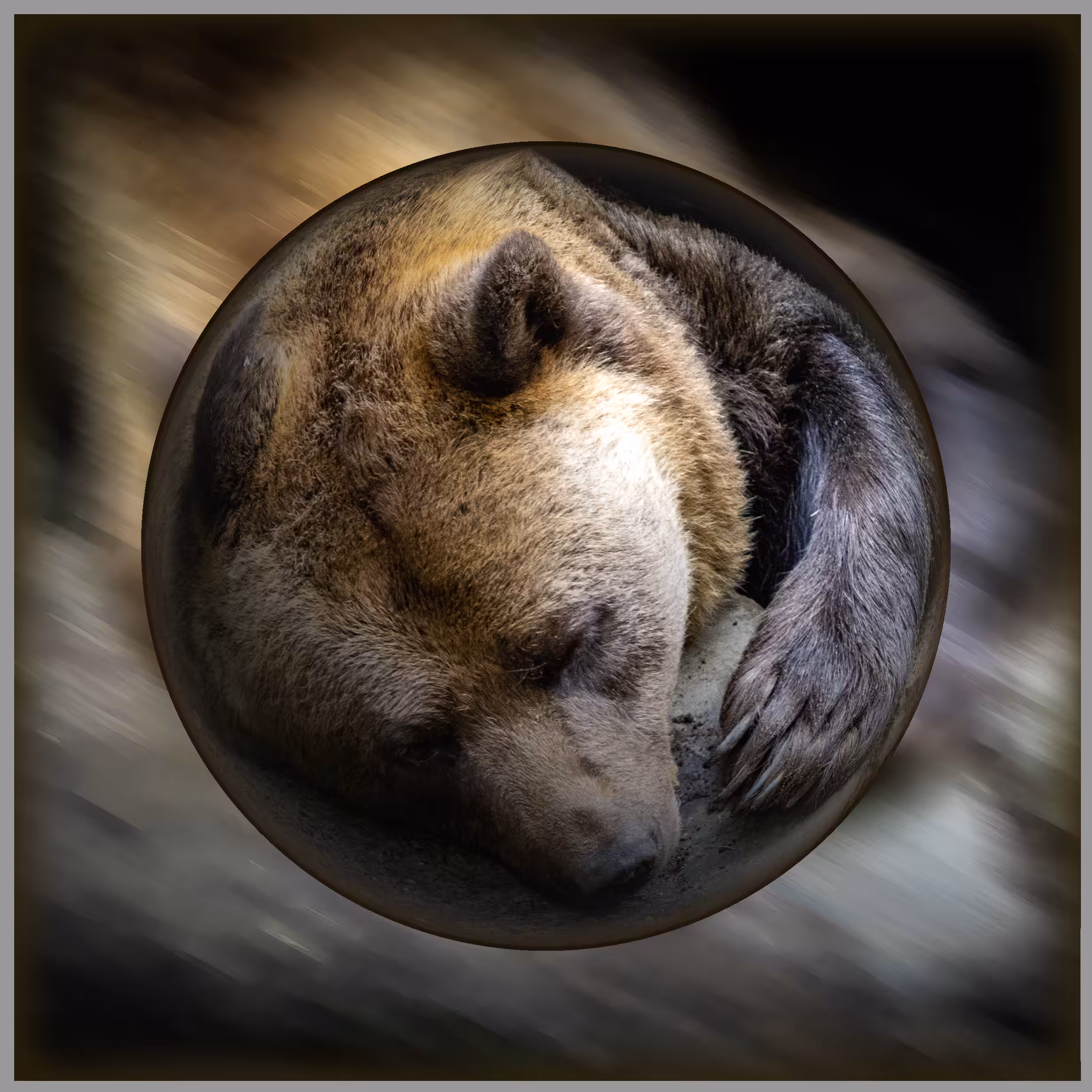 Animal Series No.19 - Bored Brown Bear