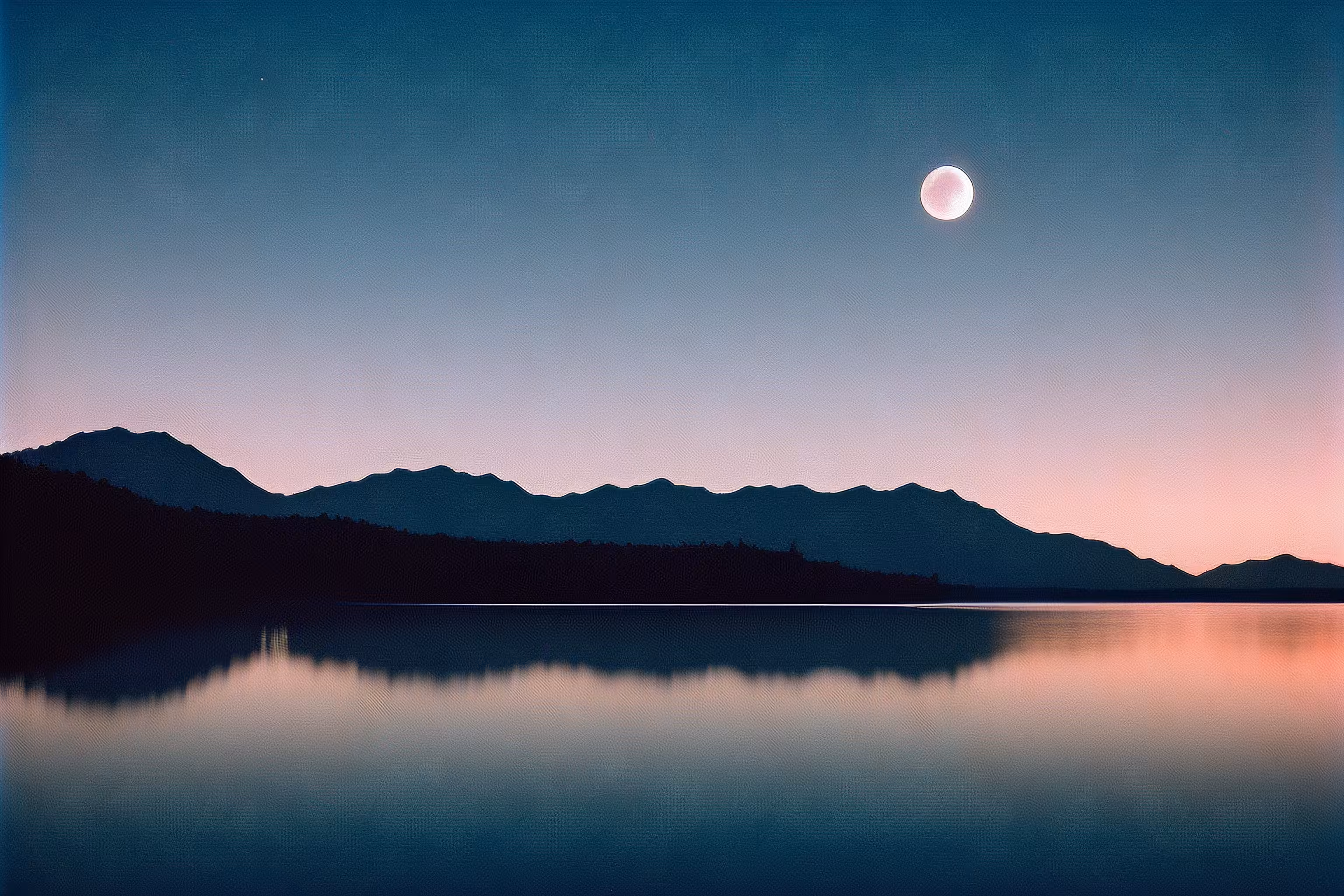Under the Moonlight