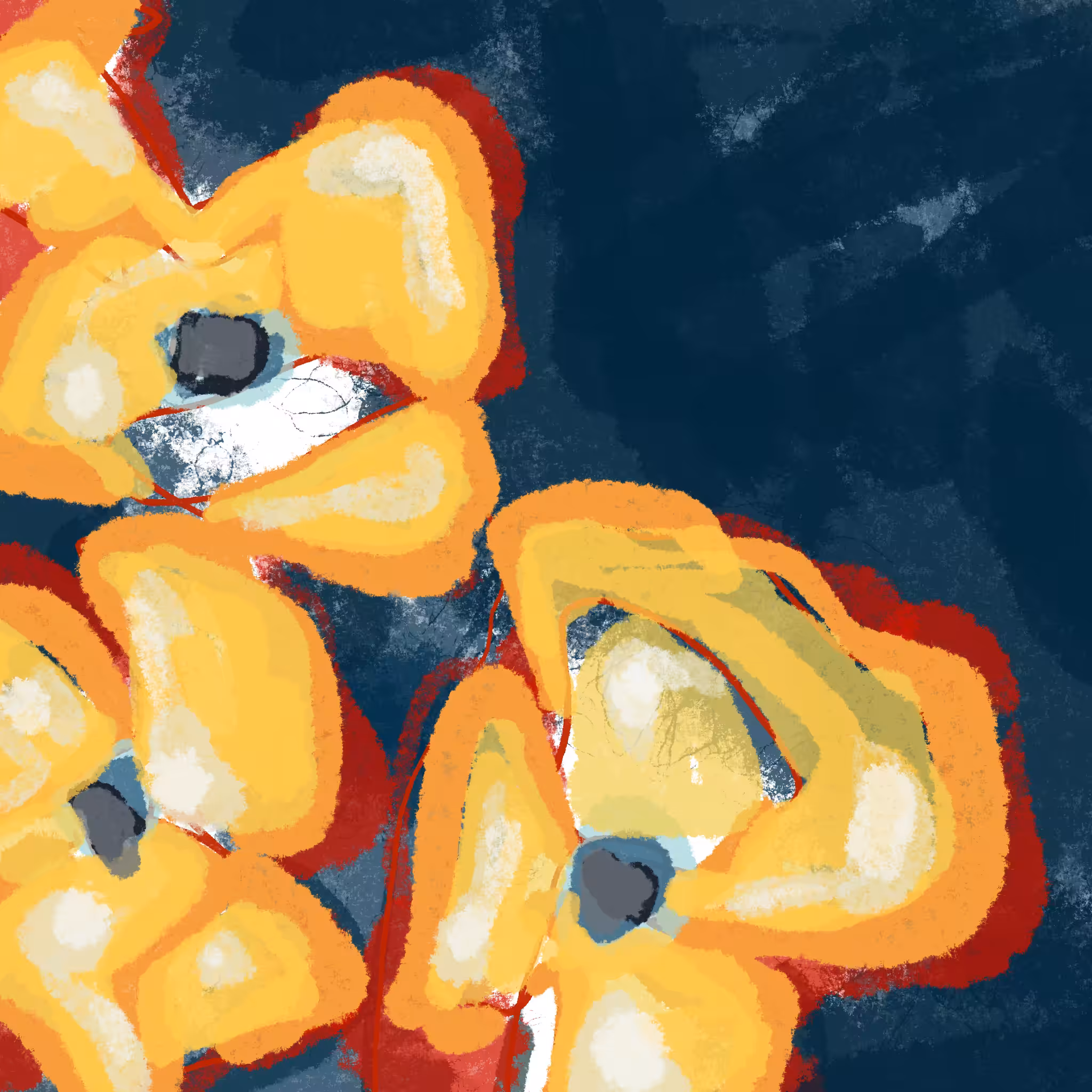 //nocturnalAbstracts: floral 4