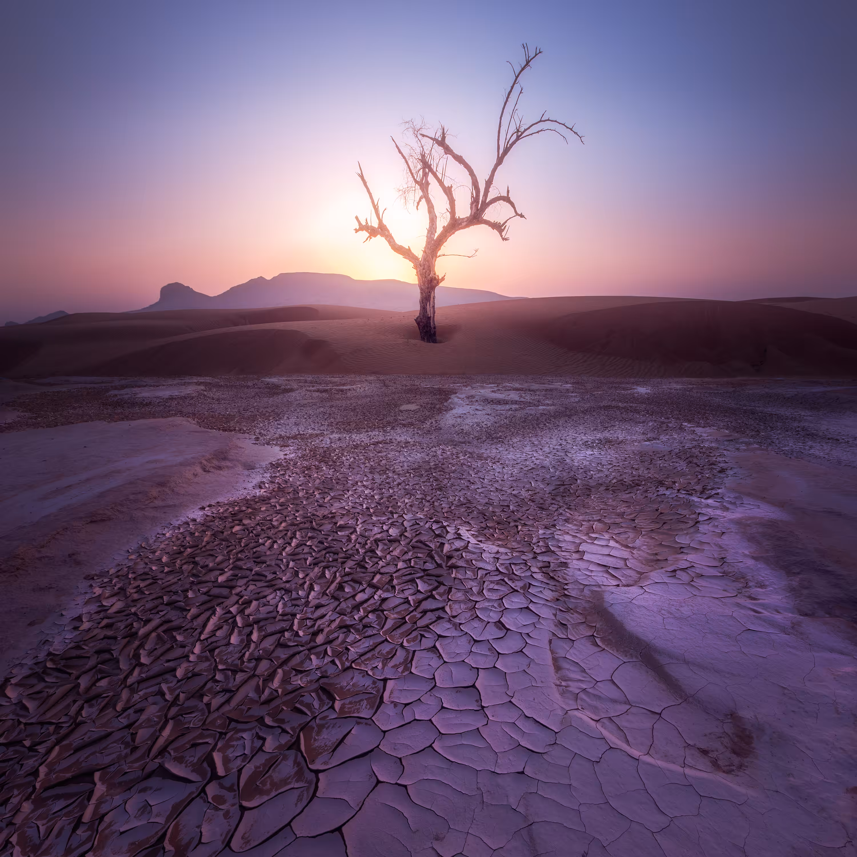 Desert Light