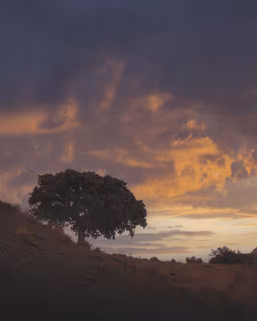Sunset #06