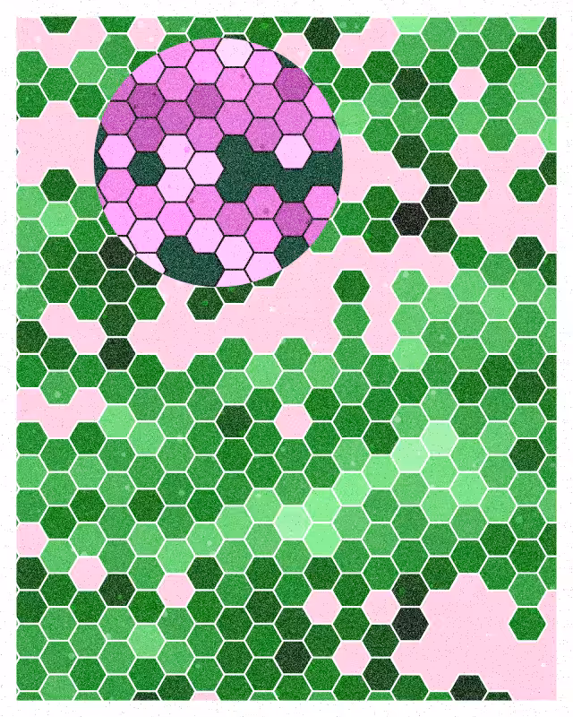 Esagoni #127