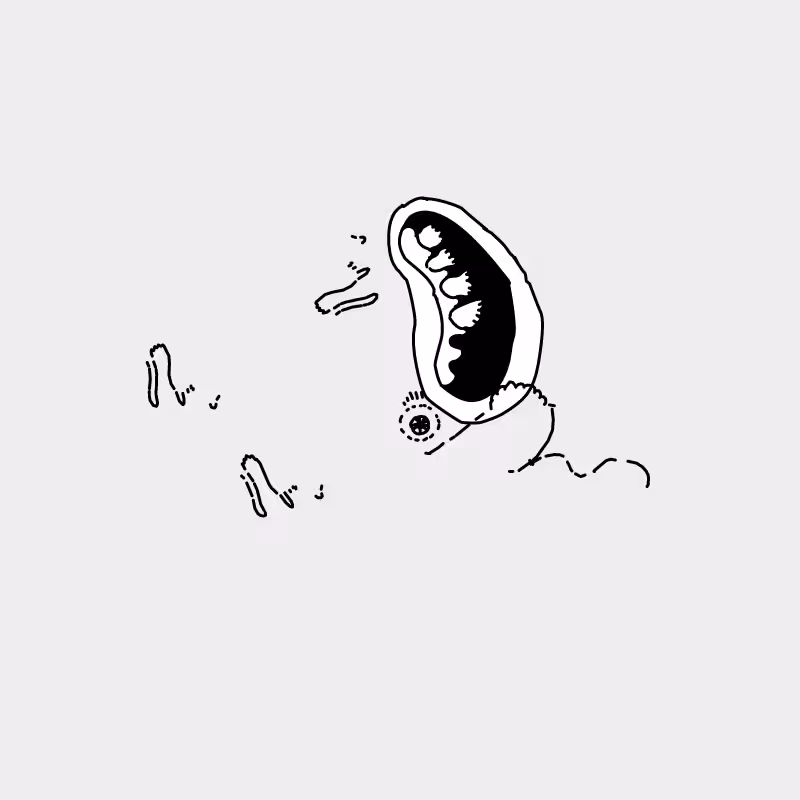 Nouveau Dillsack #35
