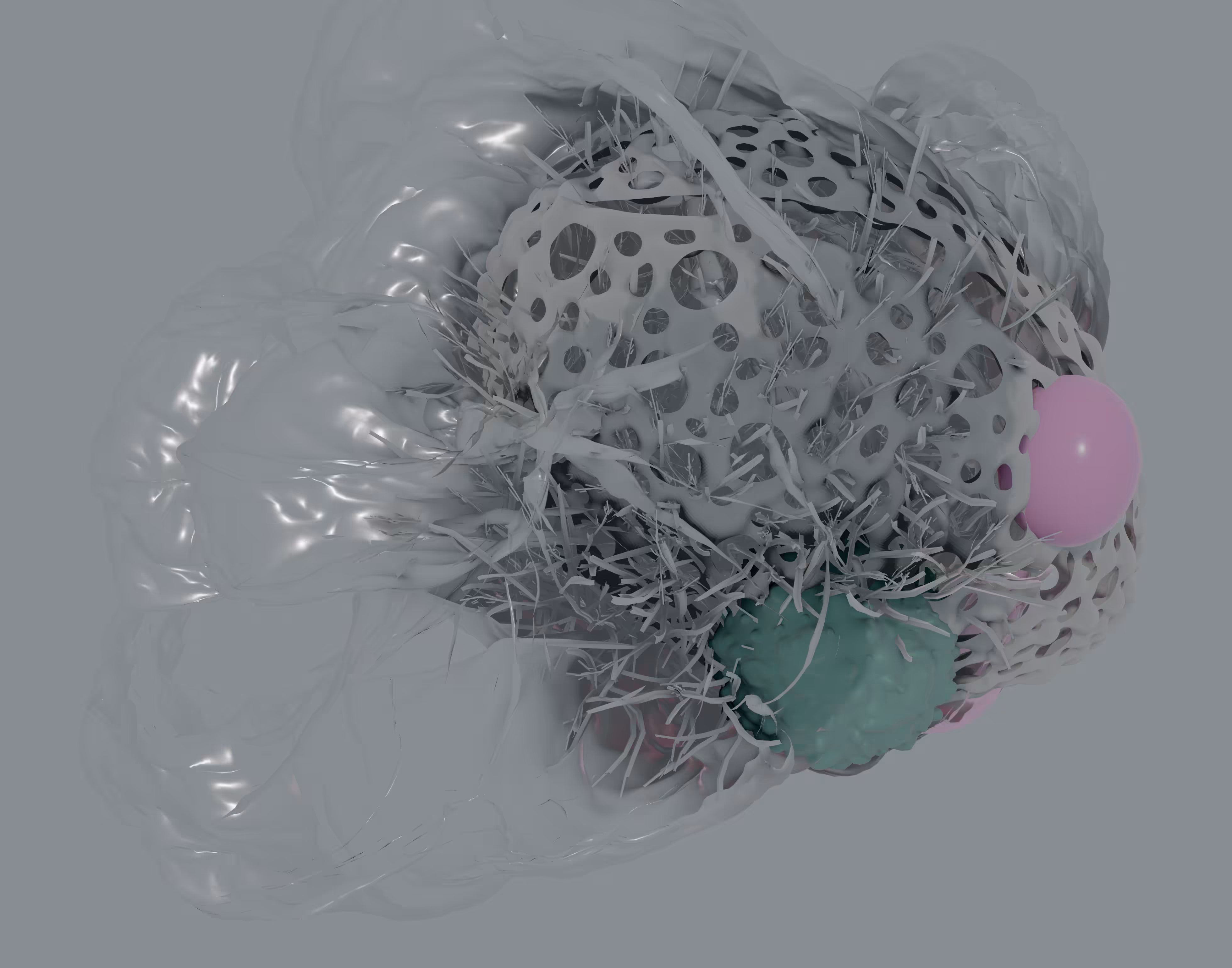 Entangled Variatons III