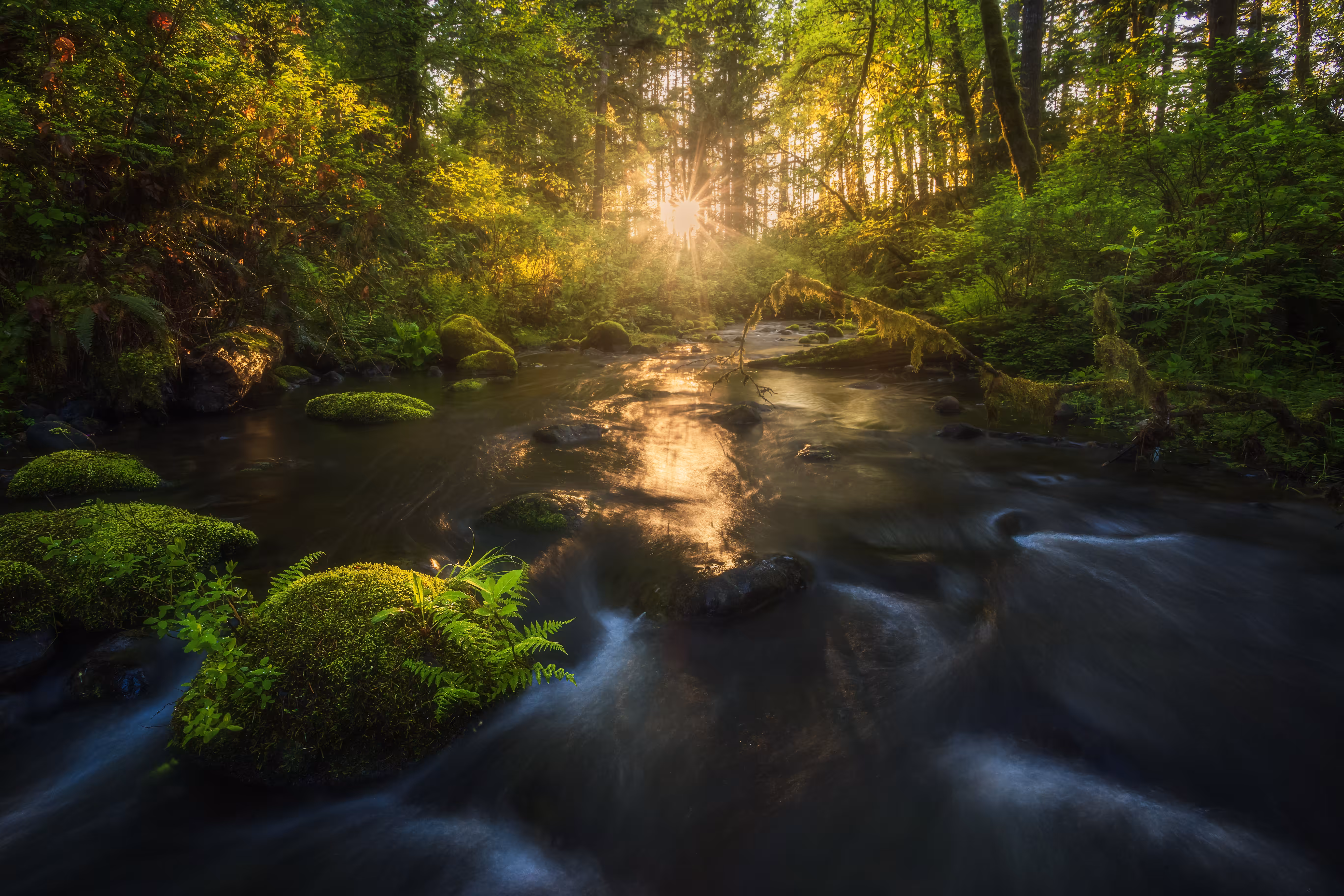 The Course of Nature