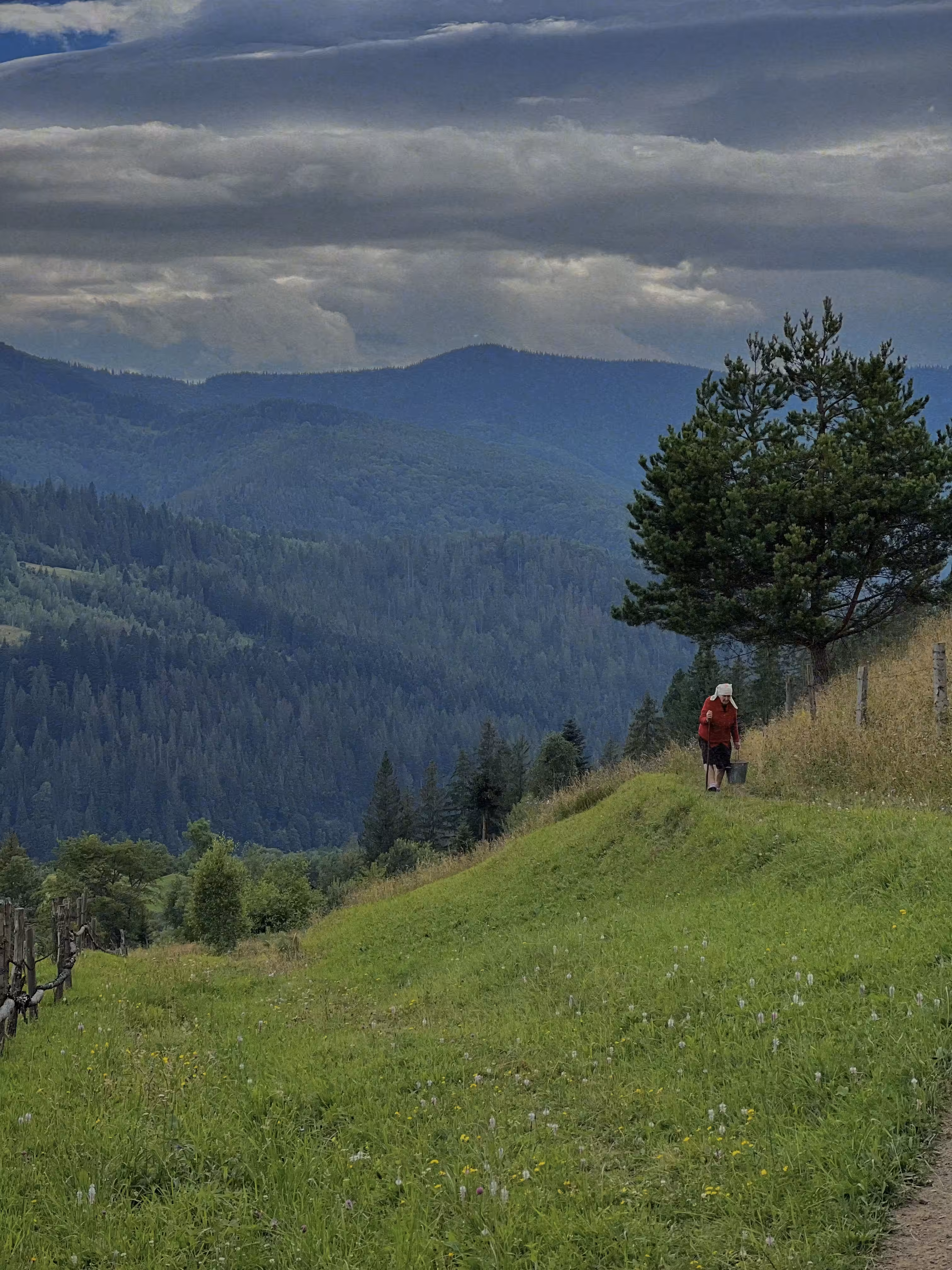 In between the mountains