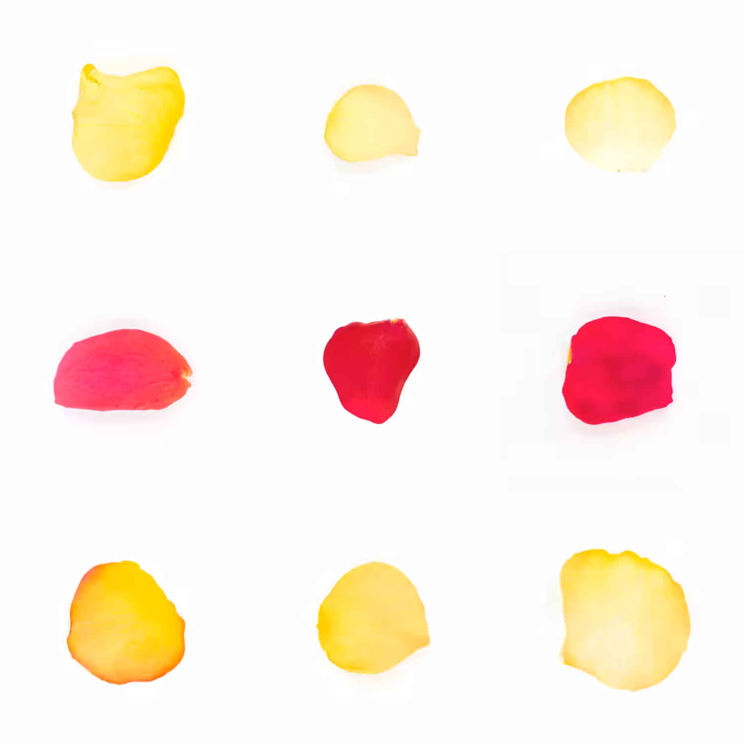 Infinite Petals 3x3#3298