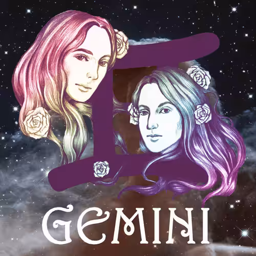 Nifty Zodiac Signs: Zodiac: Gemini #3