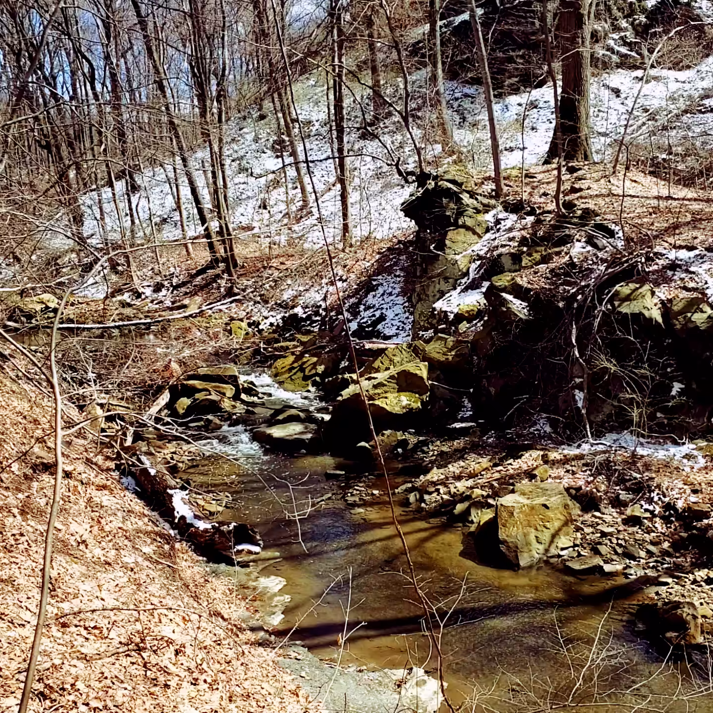 Natural Swirls