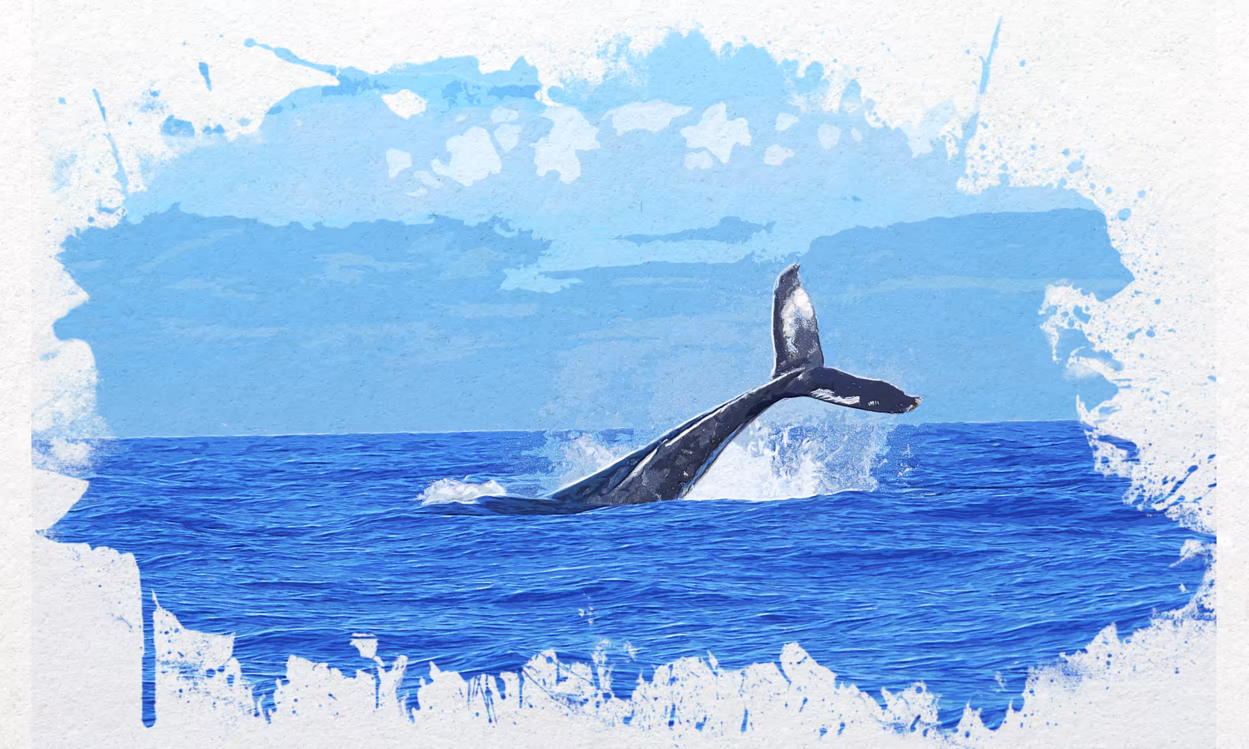 Diving Whale