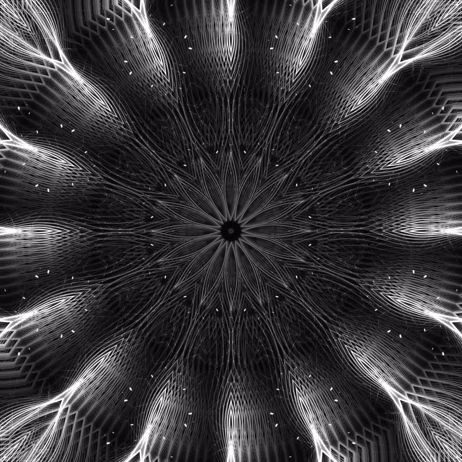 infinite orbital 55