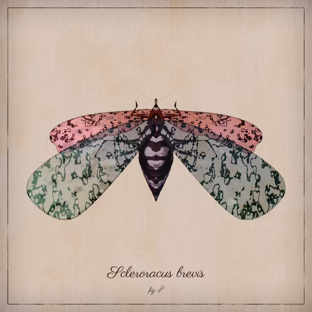 ProcGen Entomology #227