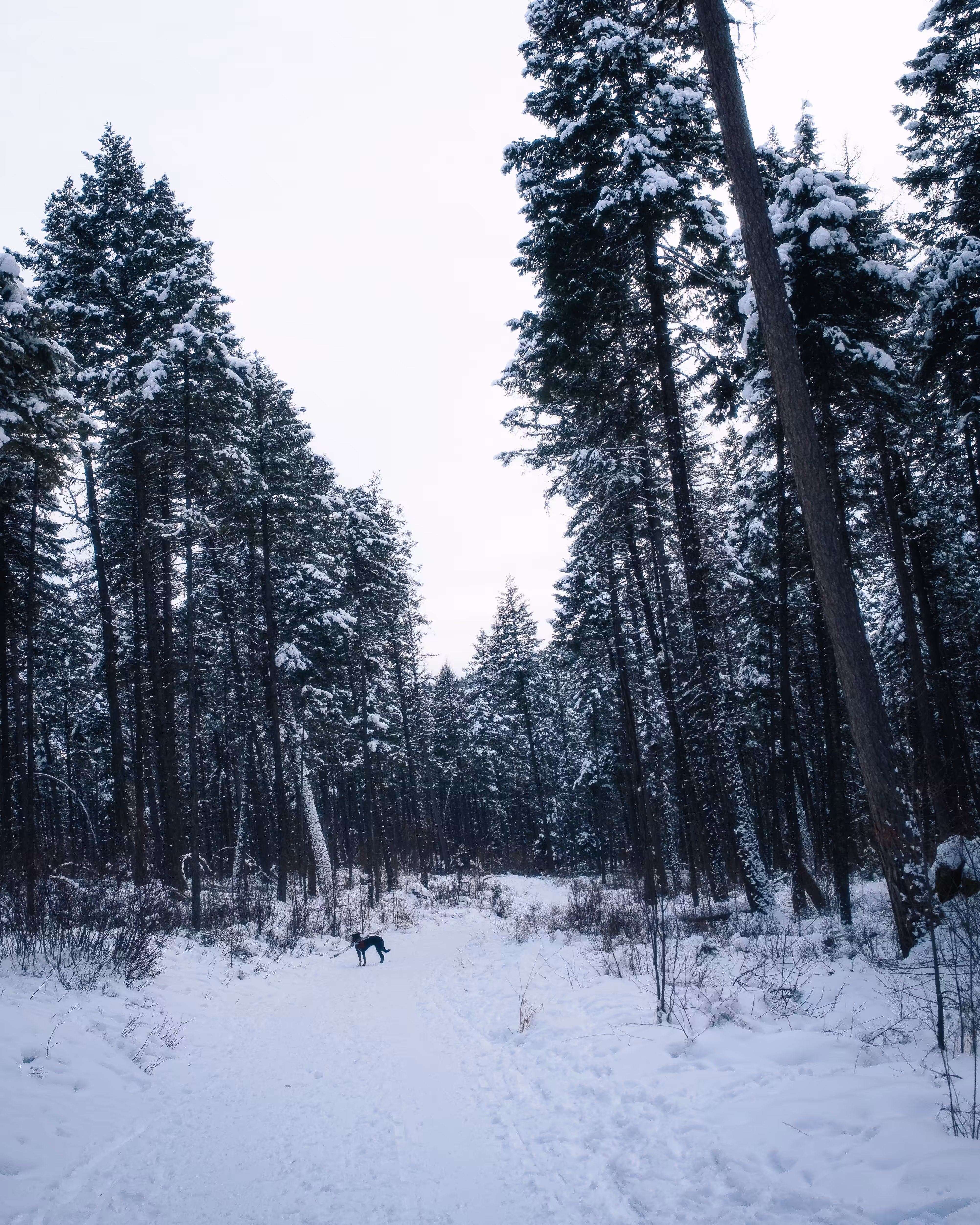 Day 001 - A New Adventure