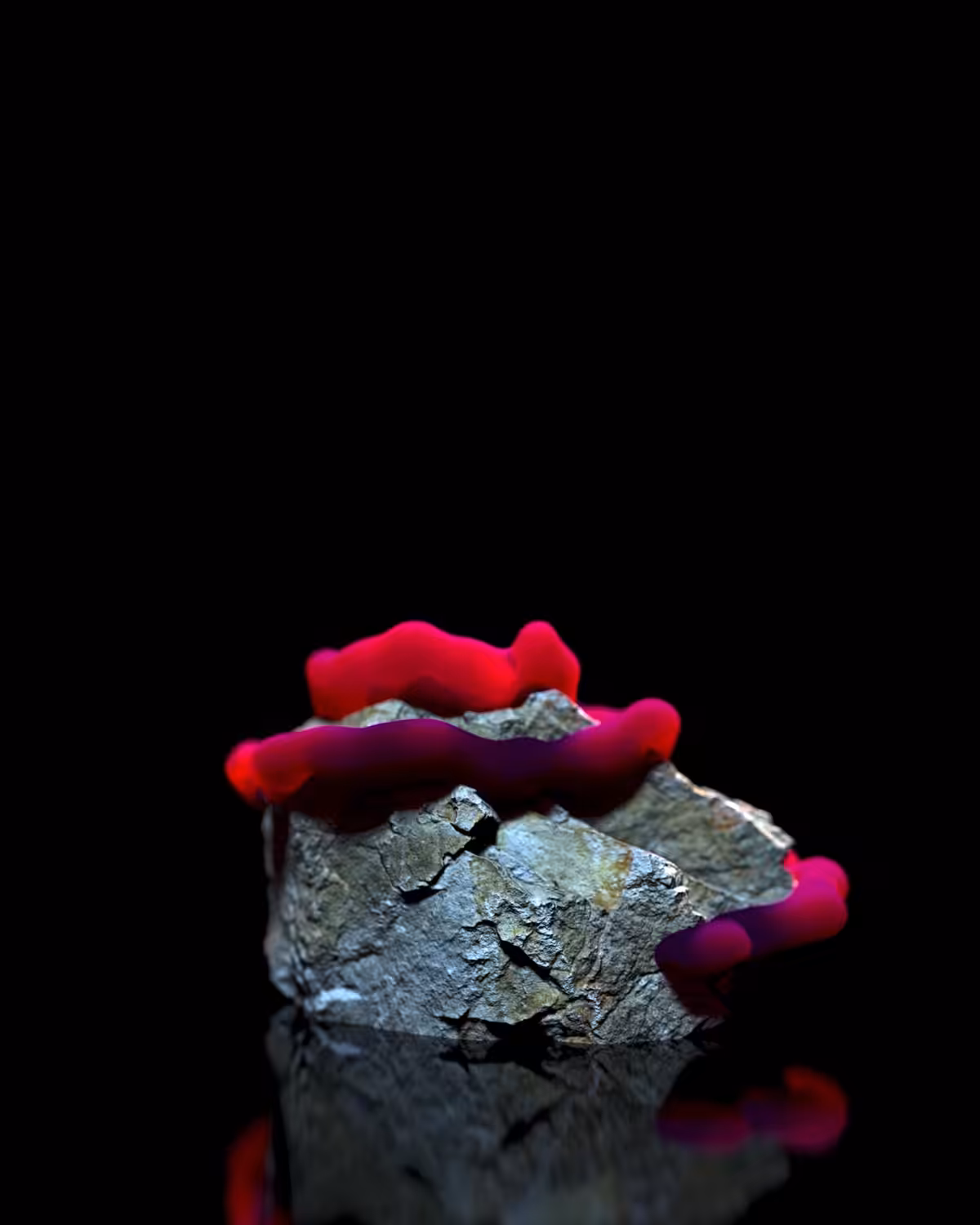 FF005_03_Passion