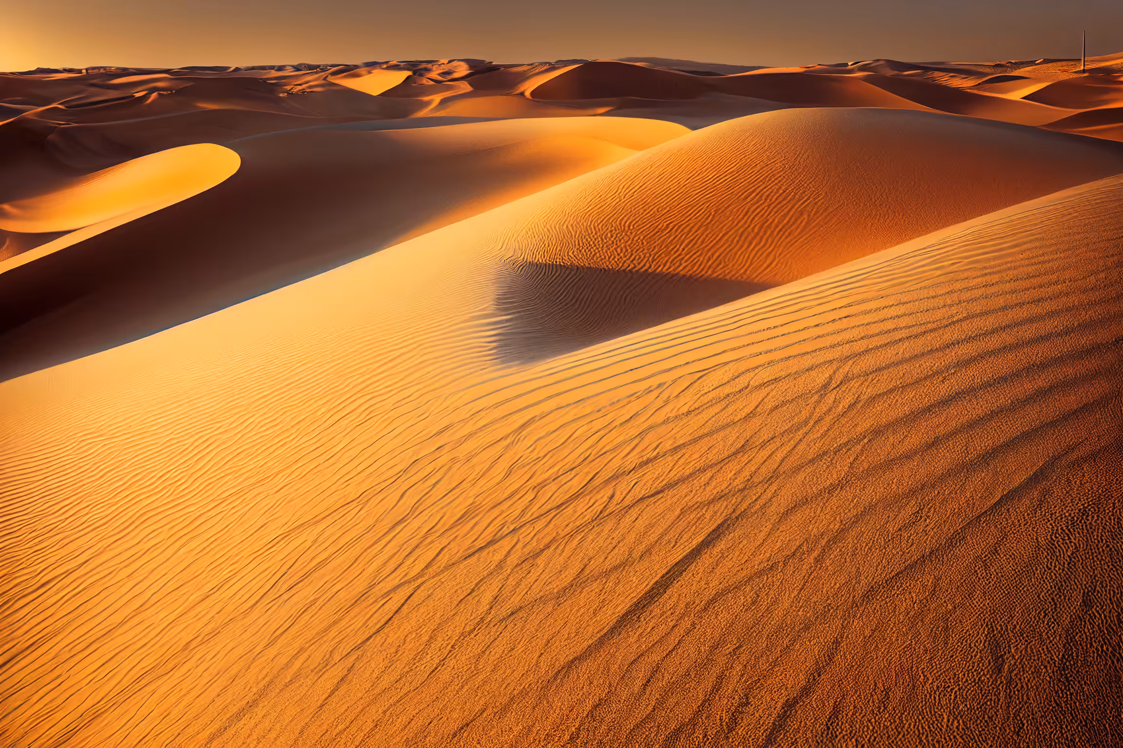 Brain Collection: Dunas golden hour
