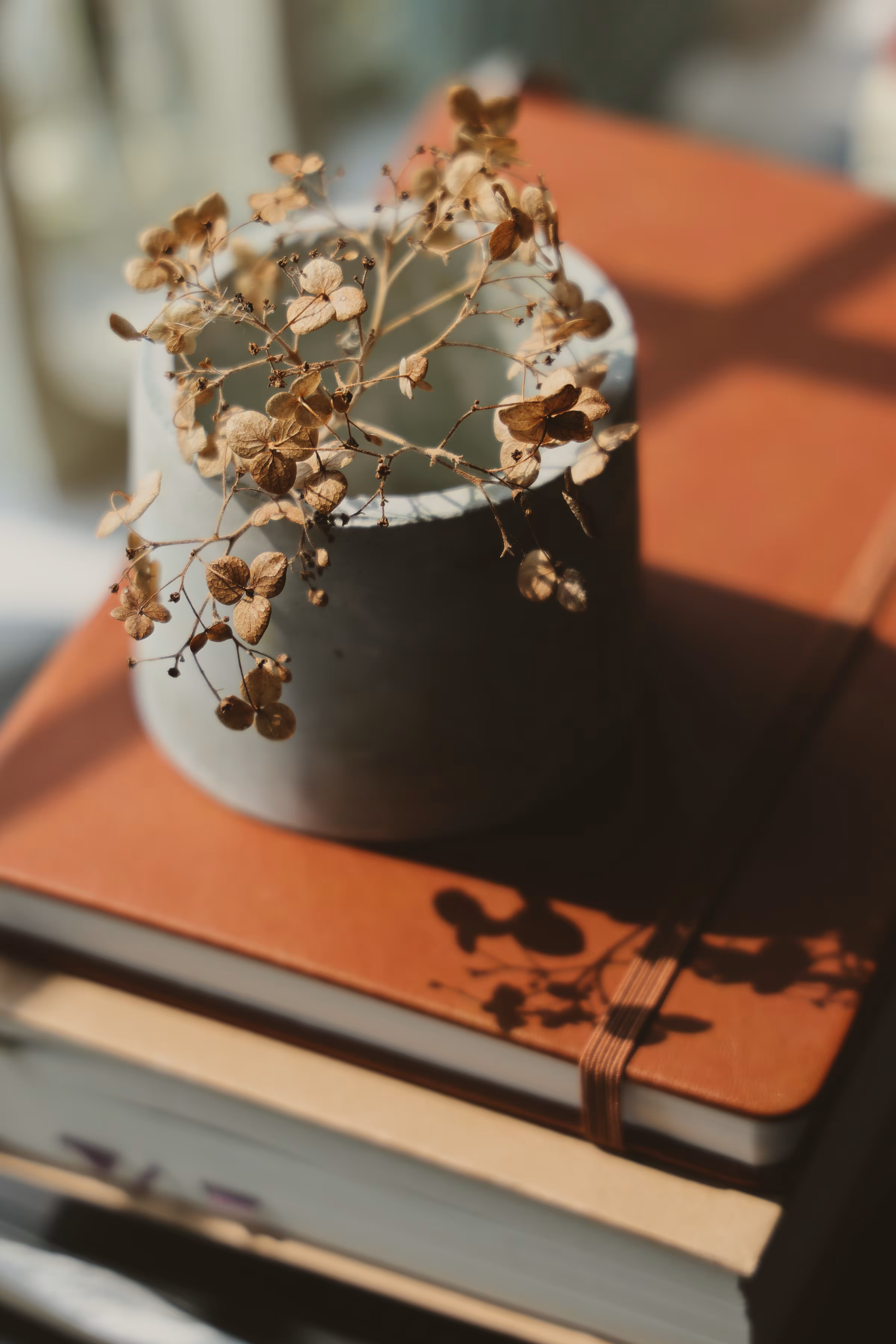 _outside of ordinary: _quiet work