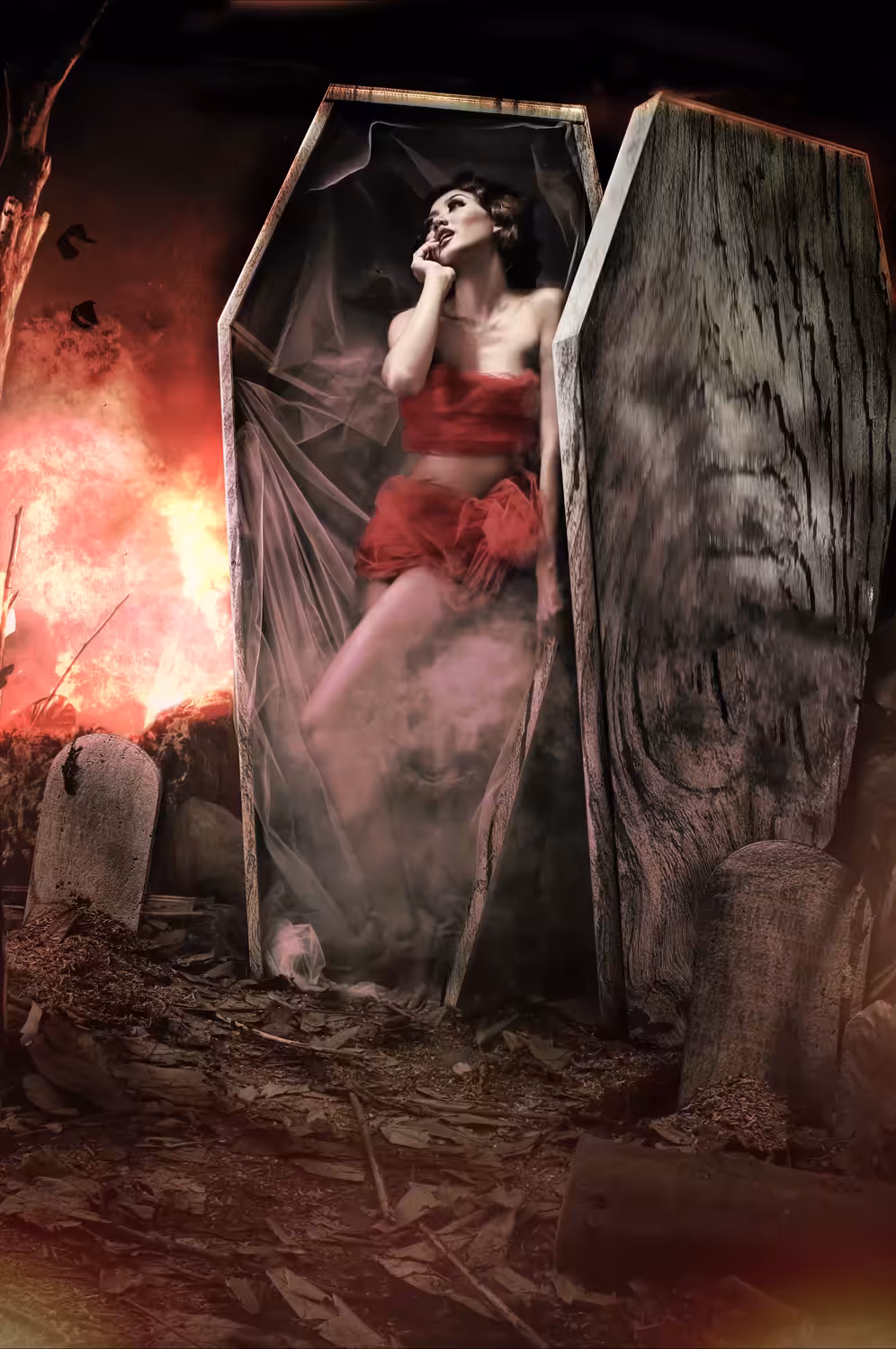Red Coffin w/ Birds