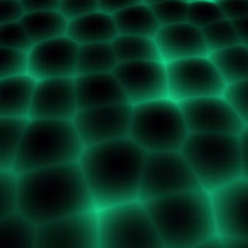 Cellular Data #23