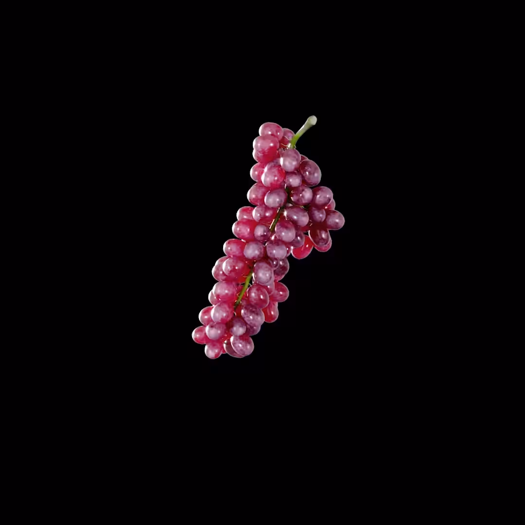 Wine/Gums