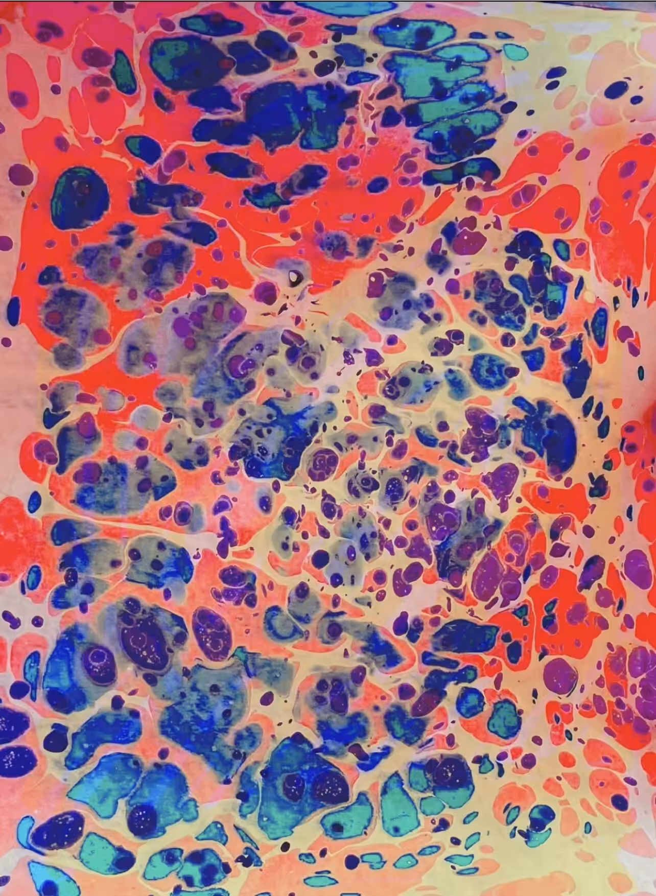 Pigment Universe