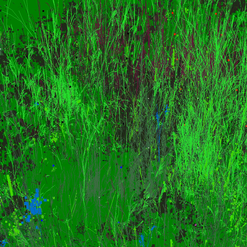 Infinite Garden: 50613 Flowers