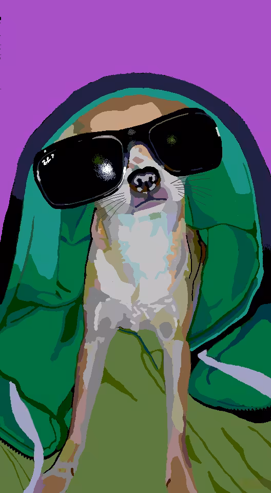 Man's Best Friend