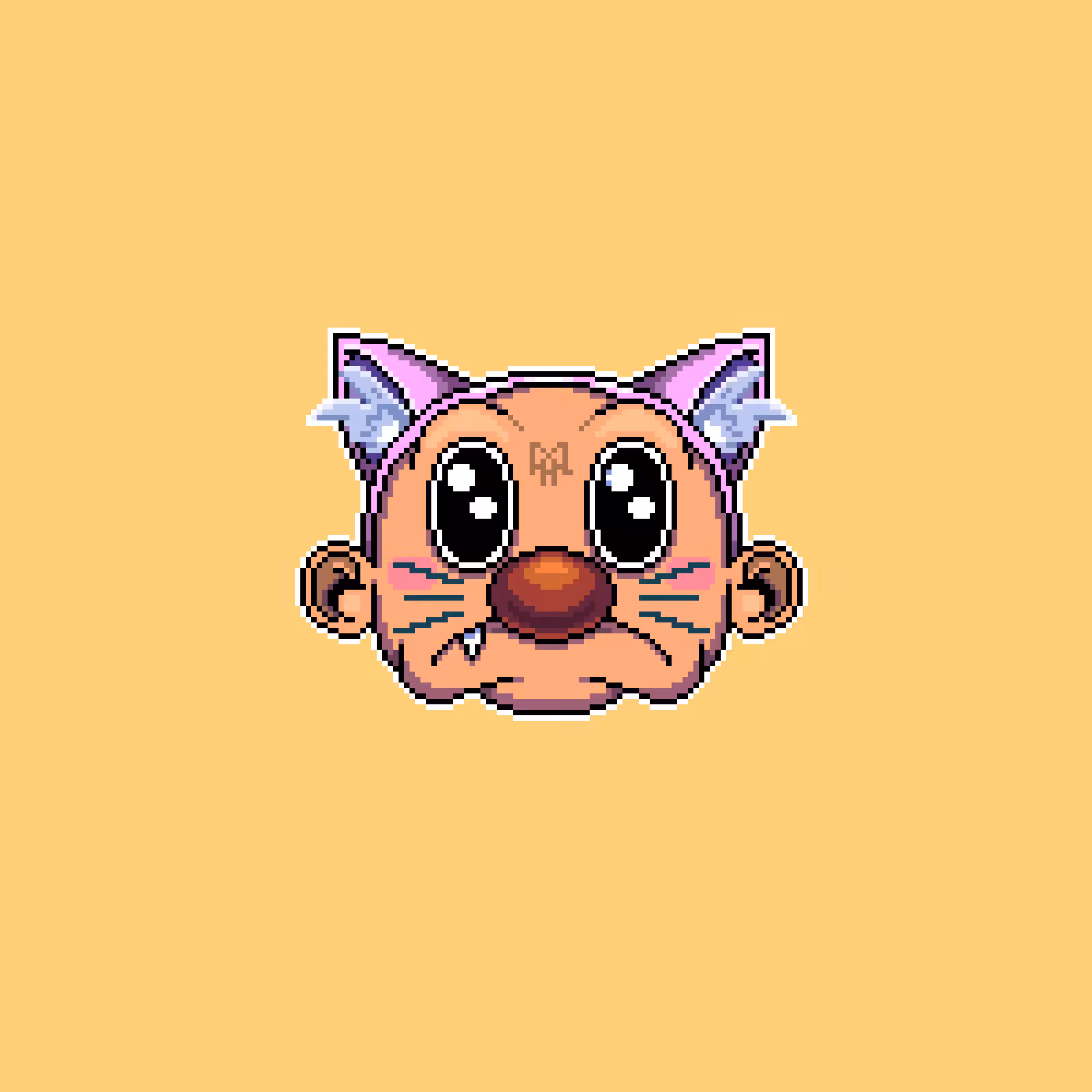 Kitty Boy Exhausty