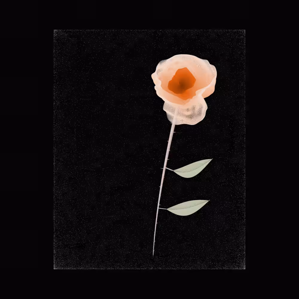 Magnolia #108