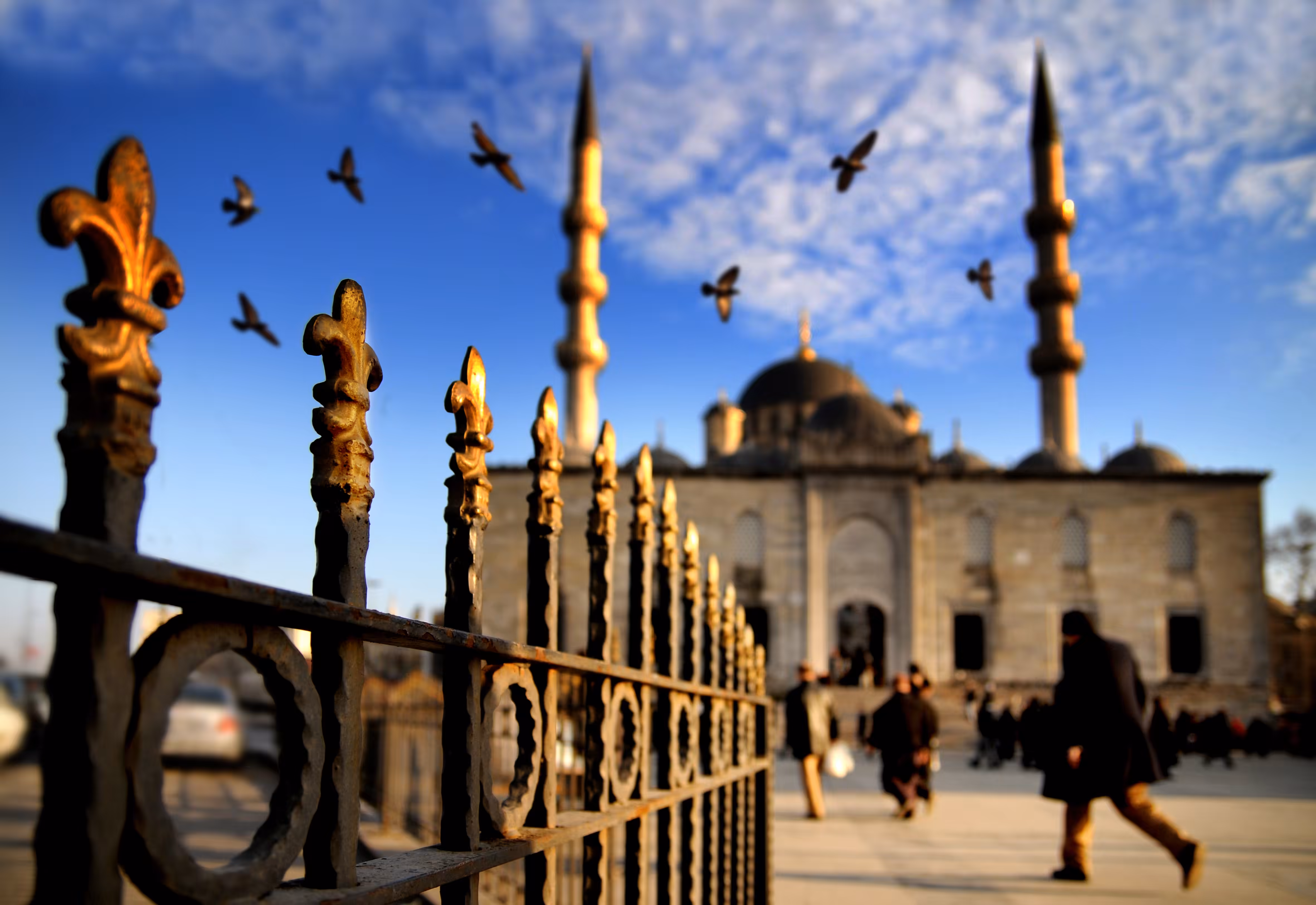 Birds and Mosque