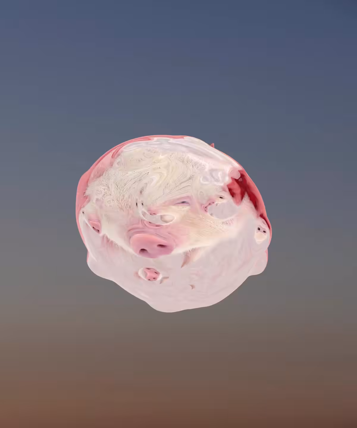 Jelly Pal #63